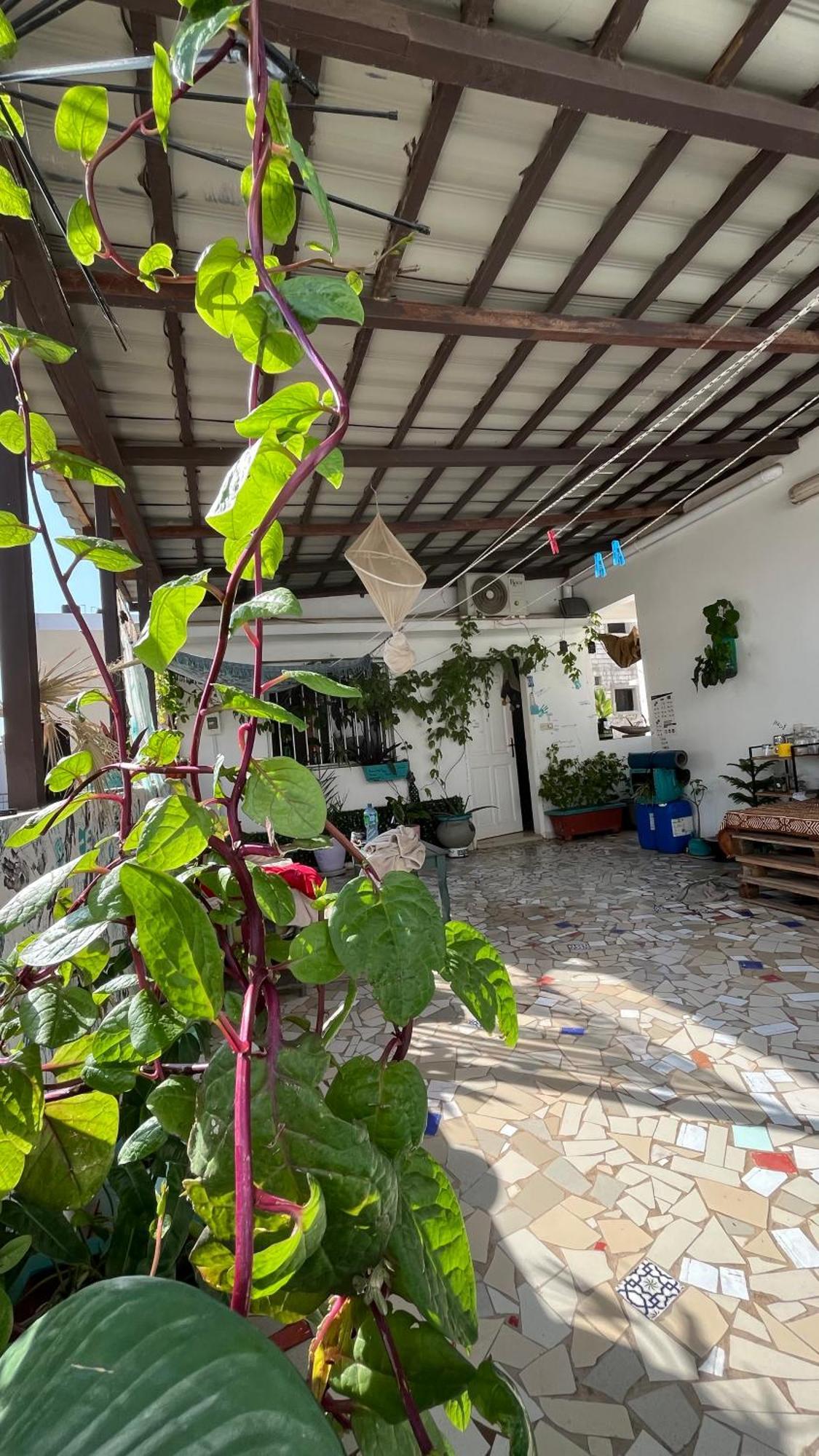 Dar Dyali Rooftop ⁿᵉᵃʳ ⁿᵍᵒʳ ᵇᵉᵃᶜʰ ᵃⁿᵈ ⁱˢˡᵃⁿᵈ Dakar Buitenkant foto